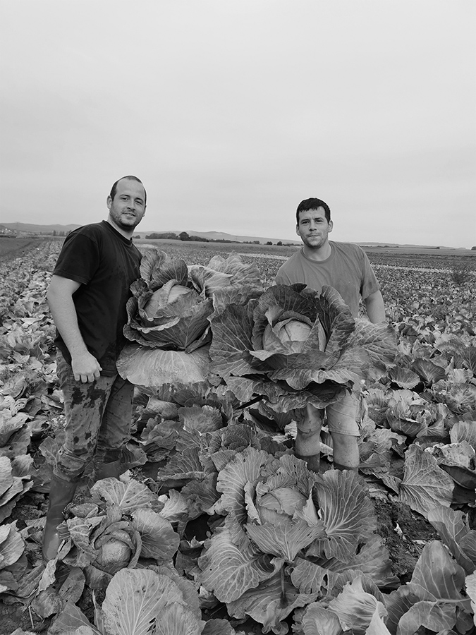 Choucroute Adès.jpg